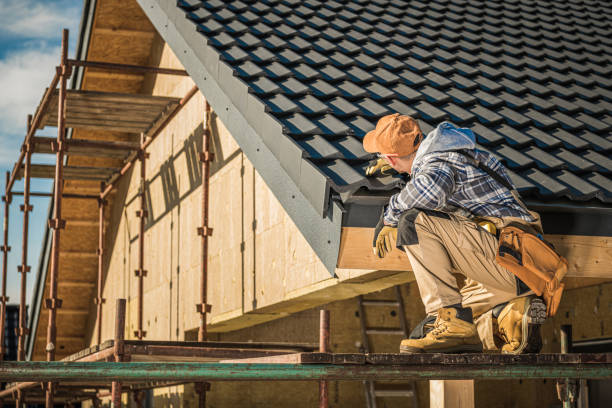 Best Roof Insulation Installation  in Cheboygan, MI